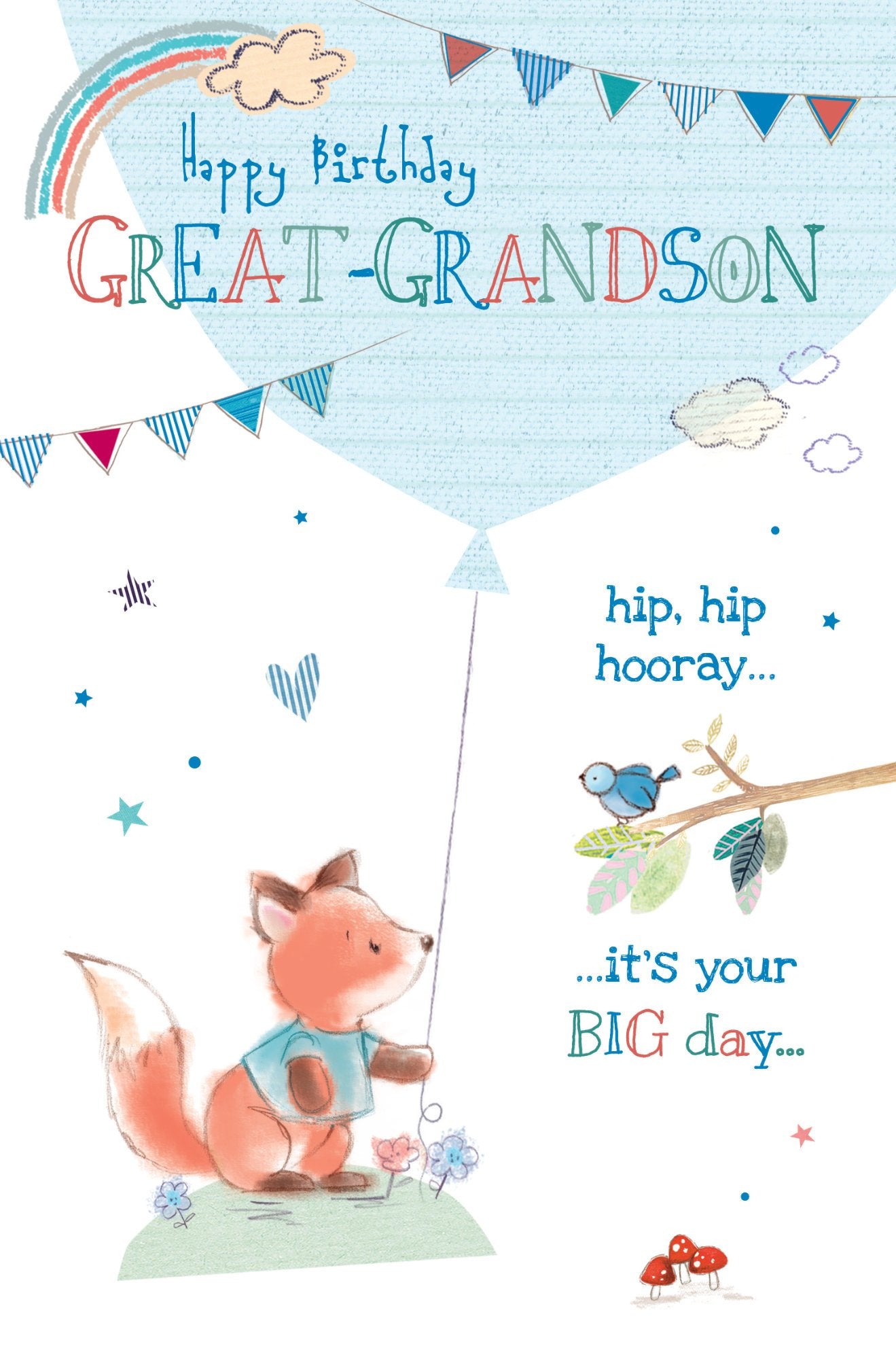 Photograph of Great Grandson Birthday Hooray Greetings Card at Nicole's Shop